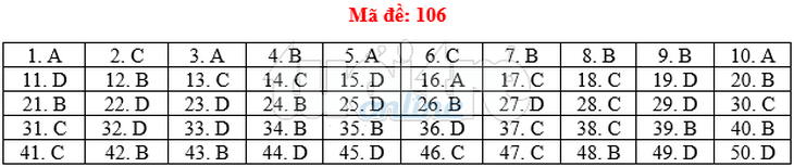 Bài giải gợi ý môn toán thi THPT quốc gia 2019 - đủ 24 mã đề - Ảnh 7.