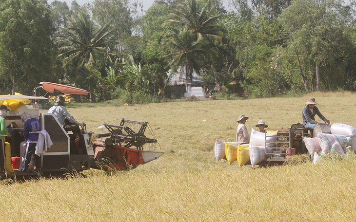 Nuôi trồng ở ĐBSCL: Thuận thiên thôi, chưa đủ!