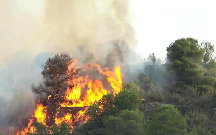 Nắng nóng ở châu Âu: Hơn 5.500ha rừng ở Tây Ban Nha bị thiêu rụi