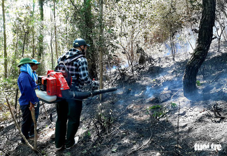 Một phụ nữ tử vong khi chữa cháy rừng ở Nghệ An - Ảnh 1.