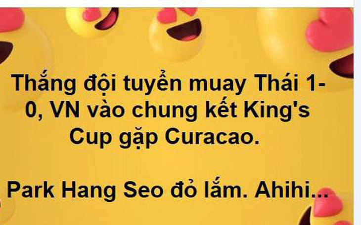 CĐV Việt Nam 