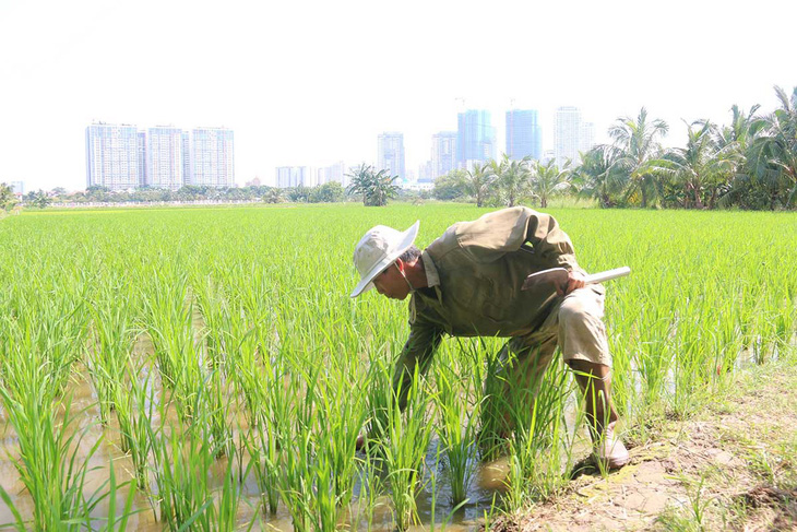 Sống treo - Kỳ 1: Mỏi mòn ở Thanh Đa - Ảnh 1.