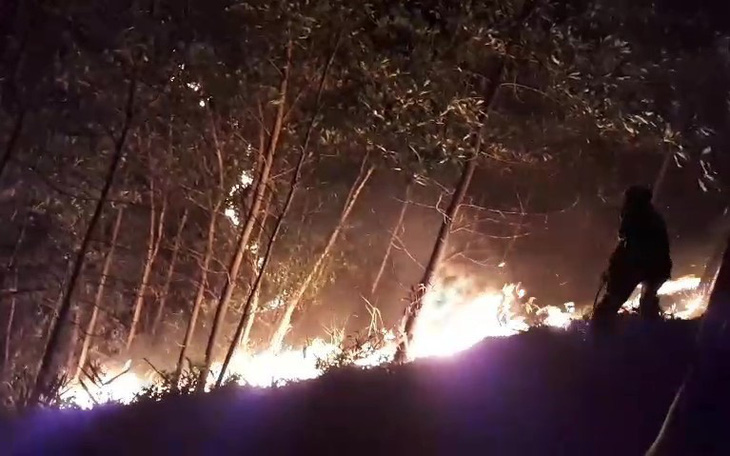 150 ha rừng keo cháy ngùn ngụt, quân dân Quảng Nam trắng đêm dập lửa