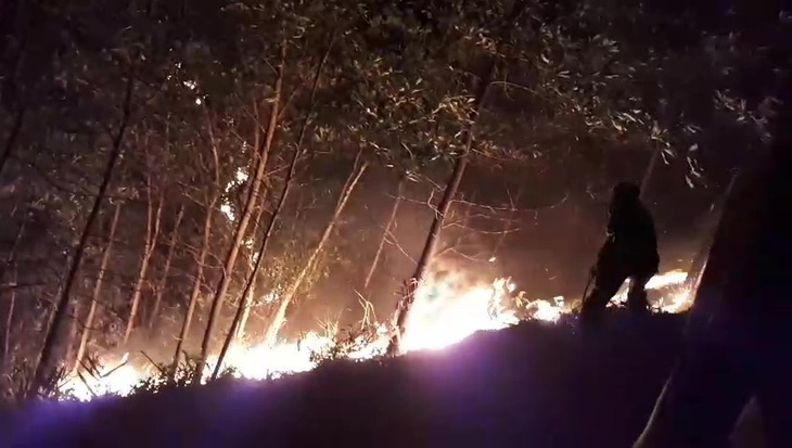 150 ha rừng keo cháy ngùn ngụt, quân dân Quảng Nam trắng đêm dập lửa - Ảnh 1.