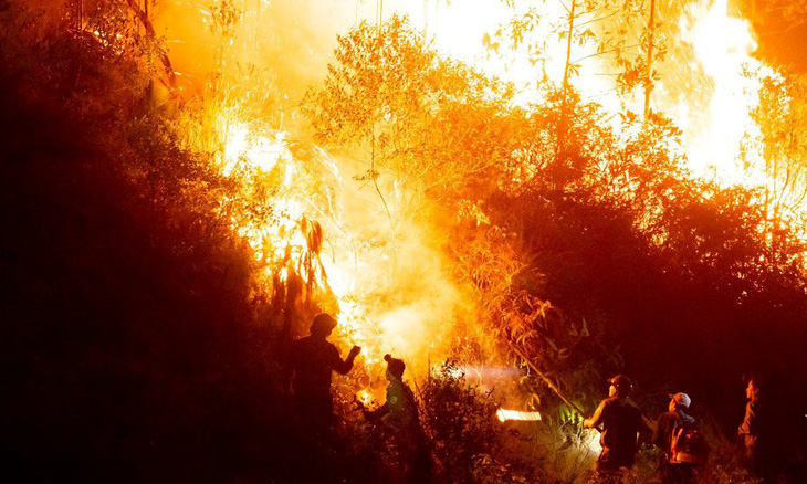 Dân đốt cành lá keo rụng, rừng lại cháy ngùn ngụt trong đêm Hà Tĩnh - Ảnh 2.