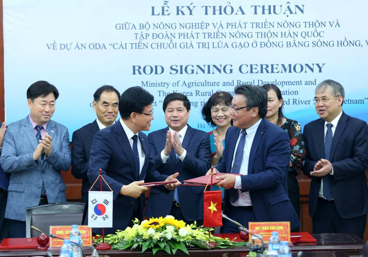 Hàn Quốc hỗ trợ 4,5 triệu USD nâng chất gạo ở Đồng bằng sông Hồng - Ảnh 1.