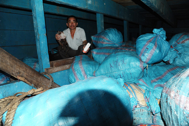 Gần 1.000 tấn mực khô ứ đọng ở Quảng Nam đã bán hết - Ảnh 2.