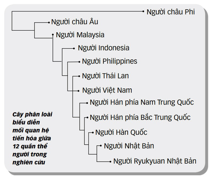 Công bố nghiên cứu bộ gen người Việt: Bất ngờ về nguồn gốc - Ảnh 2.