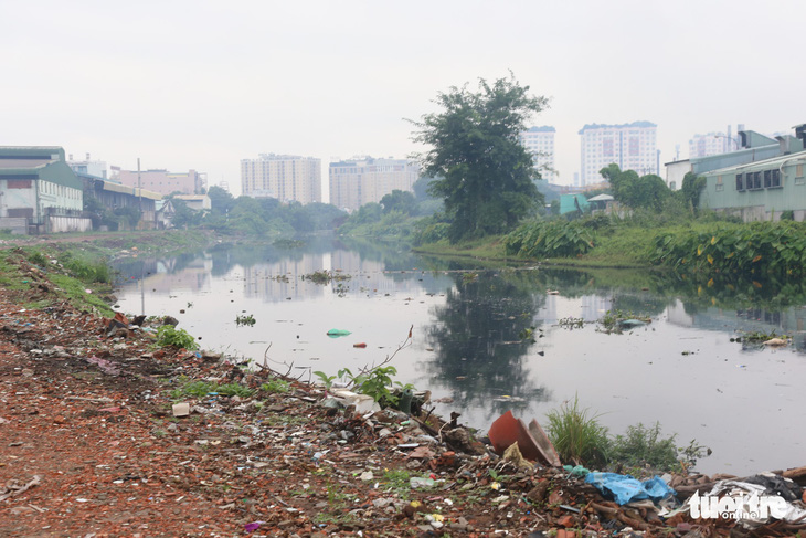 Cho dân trồng tạm cây dọc kênh Tham Lương để ngăn xả rác, tệ nạn - Ảnh 3.