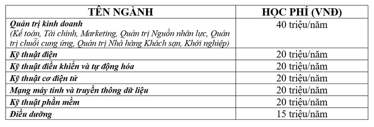 Đại học Quốc tế Miền Đông công bố điểm xét tuyển năm 2019 - Ảnh 4.