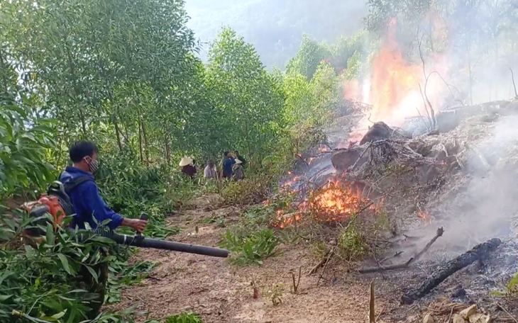 Khởi tố thiếu niên 3 lần đốt rừng để ‘trả thù’ ở Nghệ An