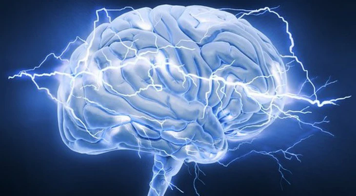 Học những kỹ năng mới - chìa khóa đảo ngược quá trình thoái hóa não ở người già - Ảnh 1.