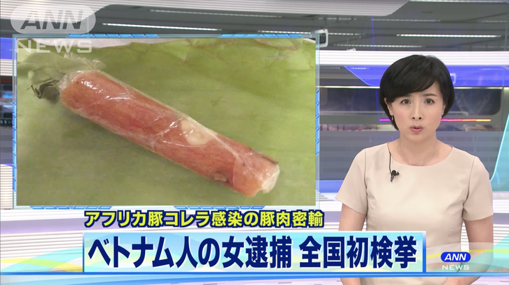 Du học sinh Việt bị bắt vì đem 10kg nem chua dính dịch tả heo vào Nhật - Ảnh 1.