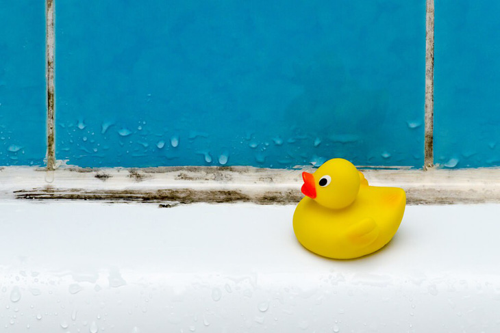 Mách bạn những cách đơn giản giúp giảm độ ẩm trong phòng tắm - Ảnh 1.