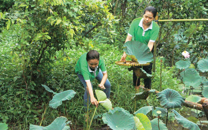 du lịch xanh