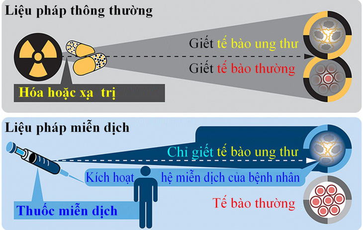 Liệu pháp miễn dịch ung thư - Ảnh 1.