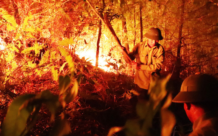 Suốt đêm cứu rừng cháy đỏ đất đỏ trời ở Hà Tĩnh