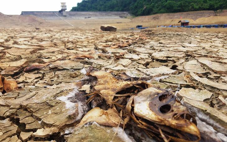 Hồ chứa nước ở Huế cạn khô kỷ lục, hơn 320ha lúa nguy cấp