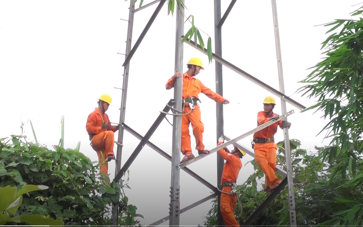 Video: Hàng loạt thanh giằng chịu lực trụ điện cao thế bị đánh cắp