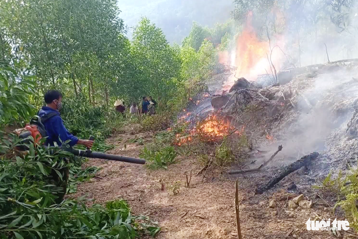 Khởi tố thiếu niên 3 lần đốt rừng để ‘trả thù’ ở Nghệ An - Ảnh 1.