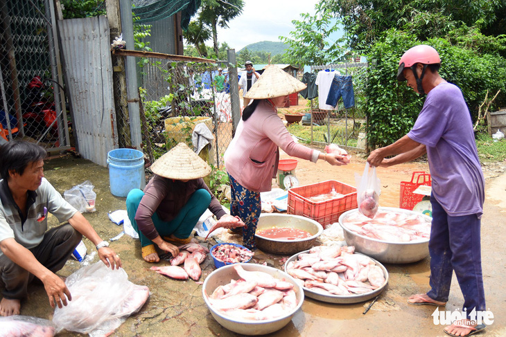 Cá lồng bè chết, trôi sông hàng ngàn tấn, ngư dân bán như cho đầy đường - Ảnh 1.