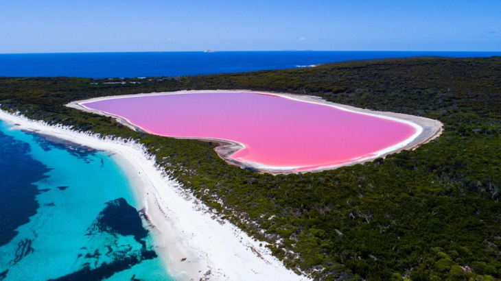 Dự án khôi phục màu hồng của Hồ Pink Lake ở Australia - Ảnh 1.