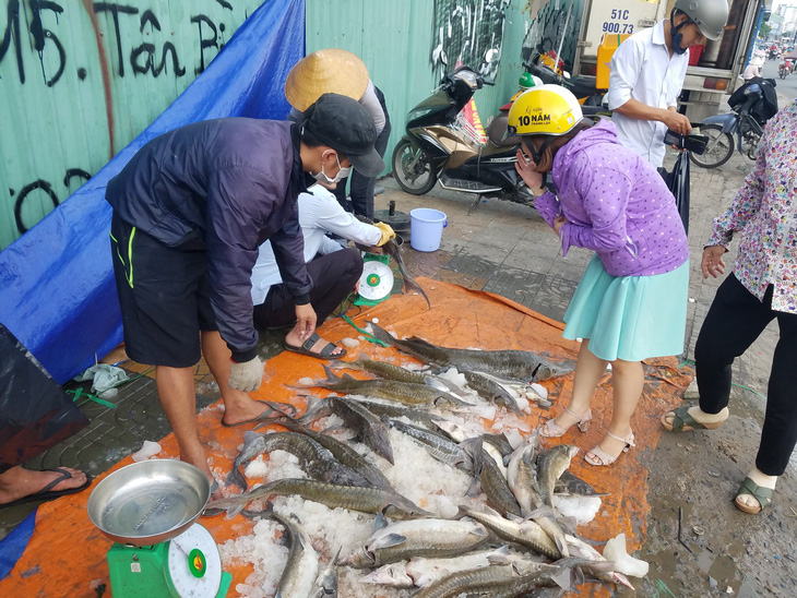 Tranh nhau mua cá tầm giải cứu trại cá Lâm Đồng trên vỉa hè TP.HCM - Ảnh 4.