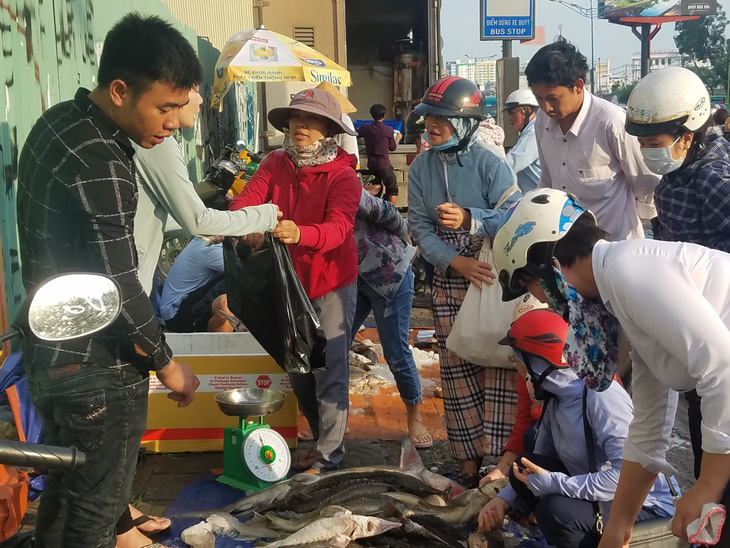 Tranh nhau mua cá tầm giải cứu trại cá Lâm Đồng trên vỉa hè TP.HCM - Ảnh 7.
