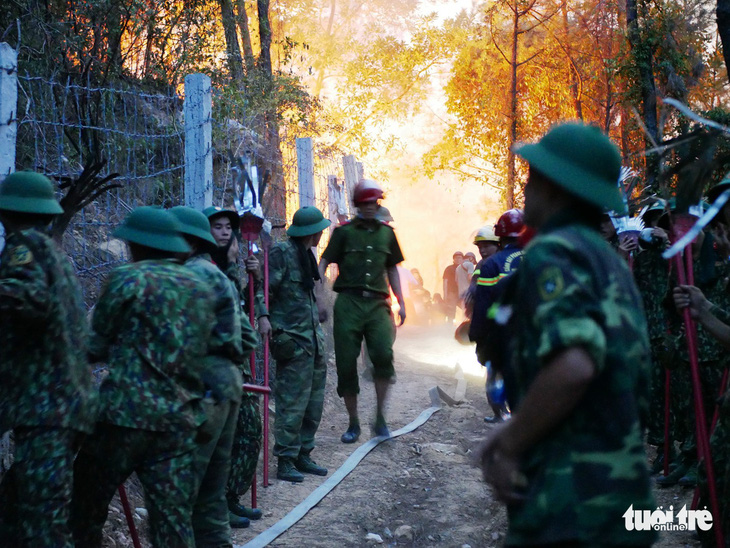 Rừng thông núi Ngũ Phong cháy lớn, nghi do đốt vàng mã - Ảnh 2.