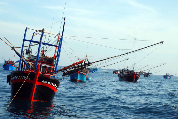 Phản đối tàu Trung Quốc đâm chìm tàu cá Quảng Ngãi ở Hoàng Sa - Ảnh 1.