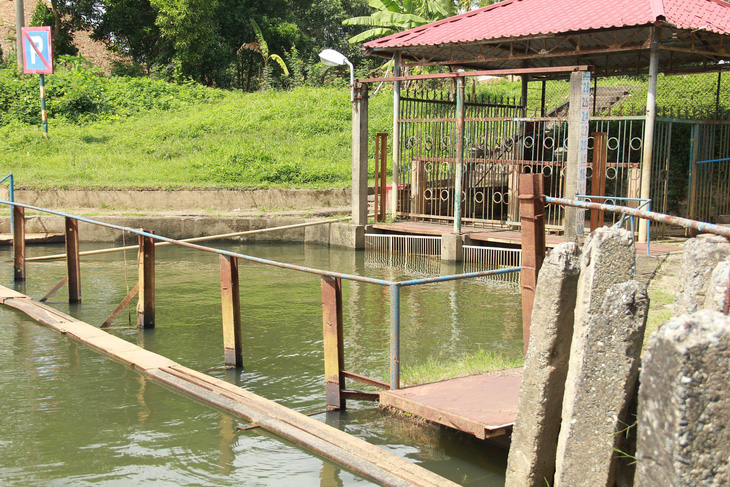 Sông nhiễm mặn nghiêm trọng, nhiều nơi tại Đà Nẵng lại mất nước - Ảnh 1.