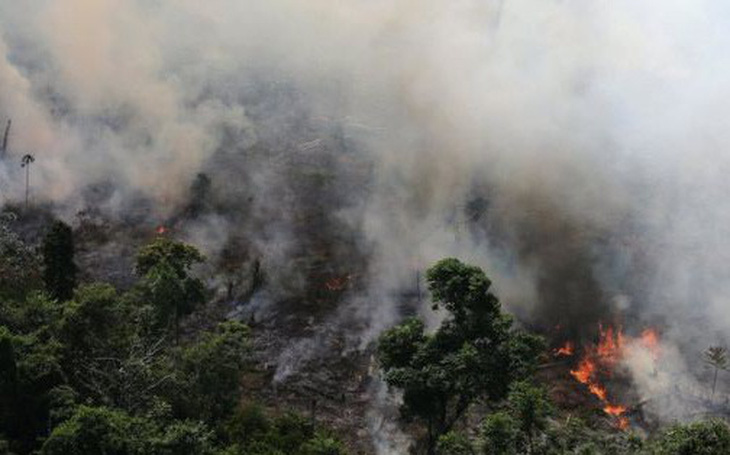 9.500 vụ cháy 1 tuần, rừng Amazon 