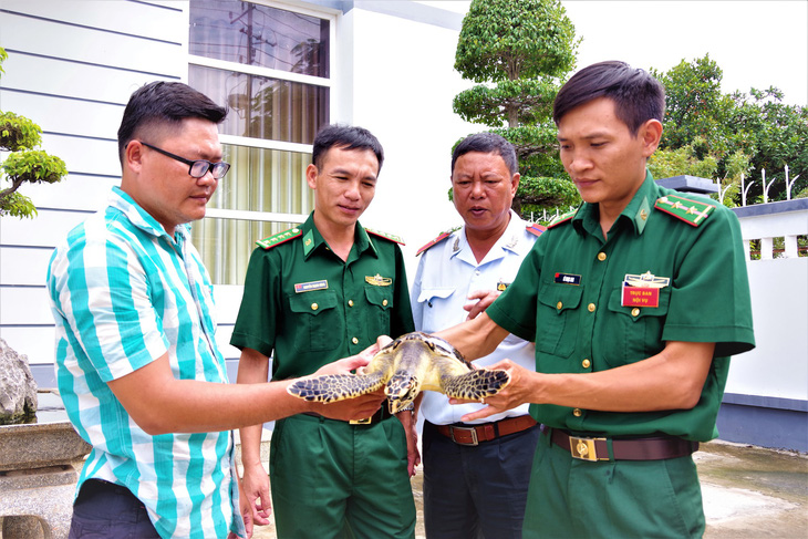 Đang đi qua cầu thấy rao bán đồi mồi, bỏ ra 1,8 triệu mua... thả về biển - Ảnh 1.