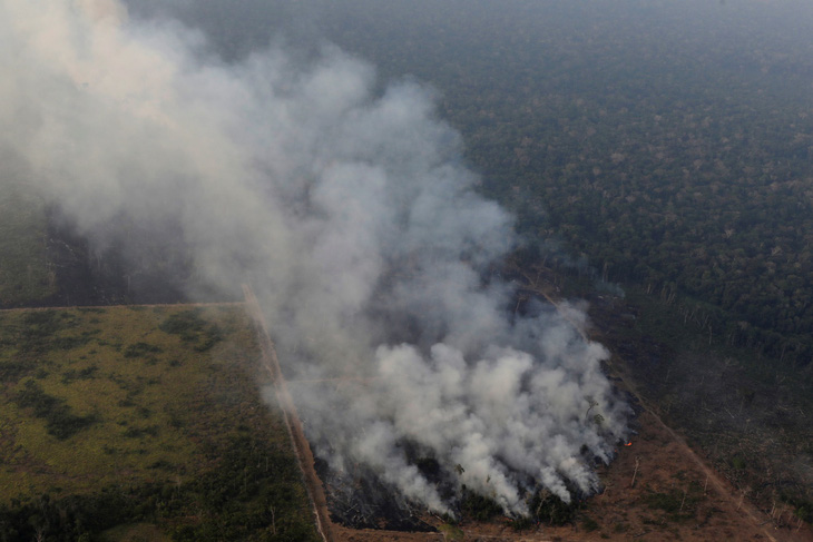 Brazil thừa nhận không đủ sức dập cháy rừng Amazon - Ảnh 1.