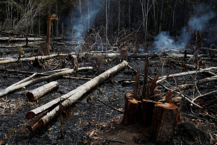 9.500 vụ cháy 1 tuần, rừng Amazon lá phổi Trái đất biến dạng khủng khiếp - Ảnh 2.