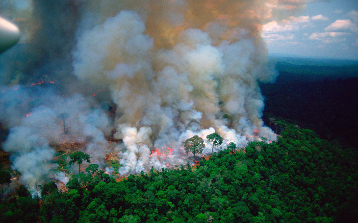 Cháy rừng Amazon: Nguyên thủ, diễn viên, ca sĩ cũng ‘share’ nhầm ảnh