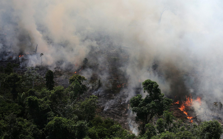 Lá phổi hành tinh Amazon đang cháy kỷ lục - Ảnh 1.