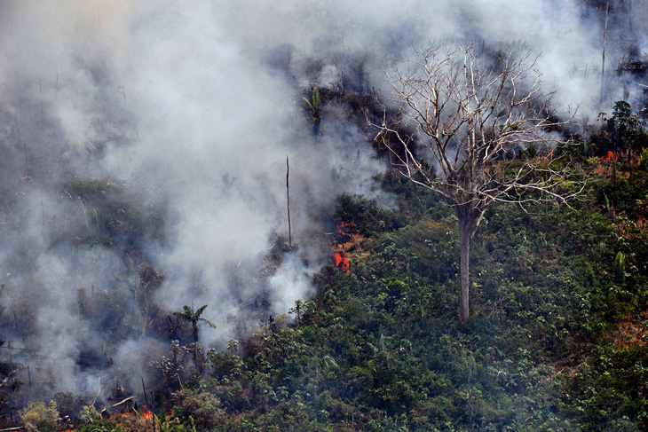 Brazil triển khai quân đội dập lửa cứu lá phổi xanh Amazon vì áp lực quốc tế - Ảnh 3.