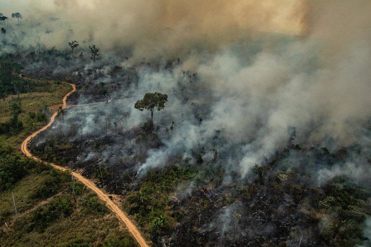 G7 nhất trí hỗ trợ khẩn để ngăn cháy rừng Amazon - Ảnh 2.