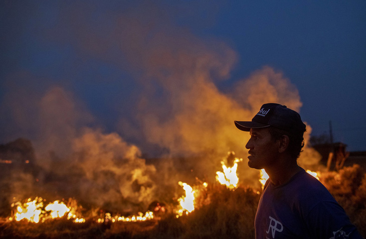 G7 nhất trí hỗ trợ khẩn để ngăn cháy rừng Amazon - Ảnh 3.