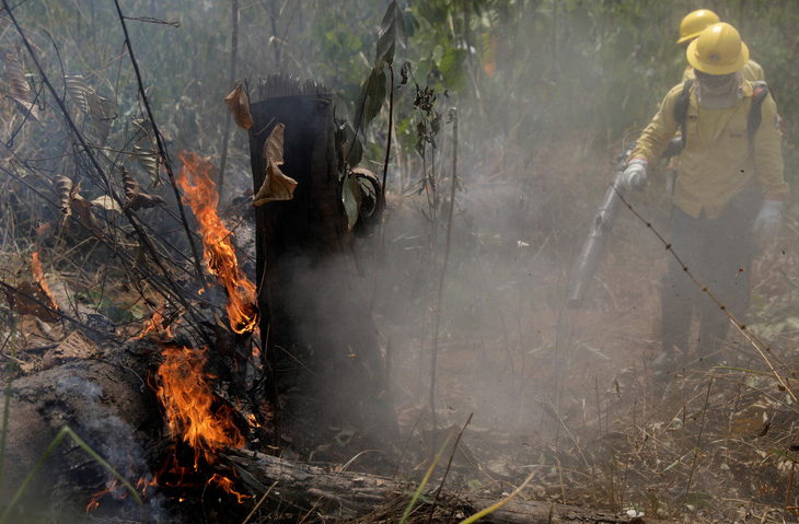 Cháy rừng Amazon ảnh hưởng gì đến thế giới? - Ảnh 1.