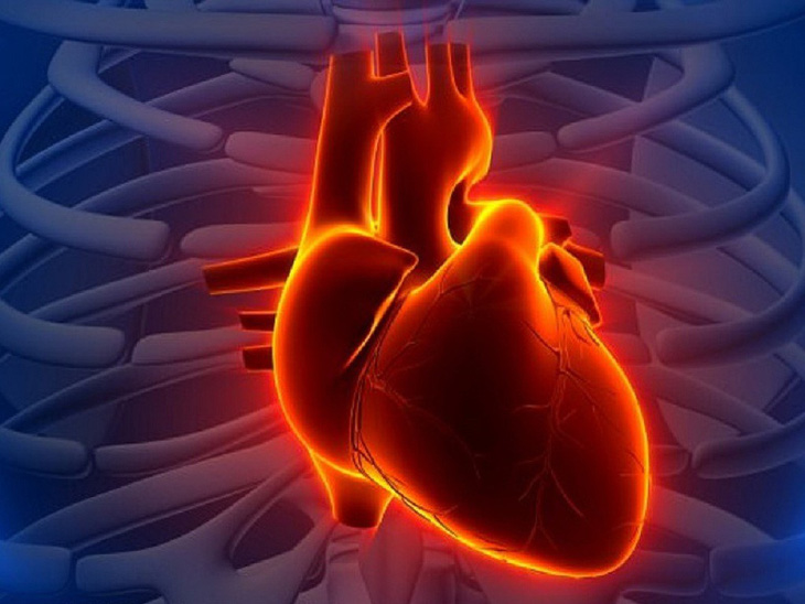 Sử dụng máy in 3D tạo ra các bộ phận chức năng của tim không có collagen - Ảnh 1.
