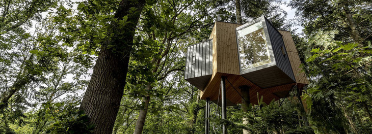 Ngôi nhà trên cây xinh xắn trong khu rừng Đan Mạch - Ảnh 1.
