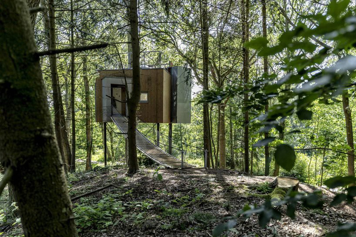 Ngôi nhà trên cây xinh xắn trong khu rừng Đan Mạch - Ảnh 2.