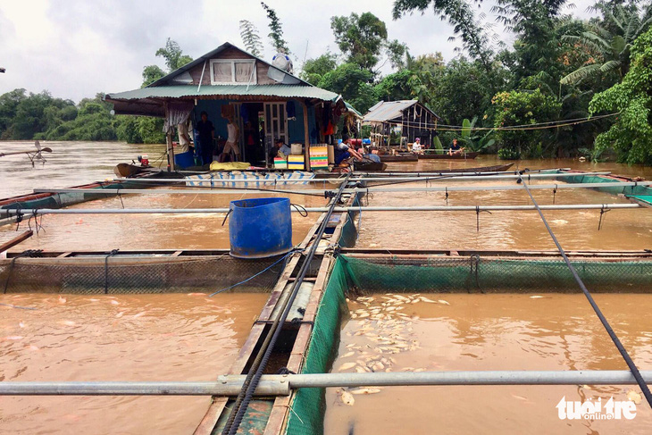 Di dời hàng trăm hộ dân khỏi khu vực ngập lụt ven sông Đồng Nai - Ảnh 1.