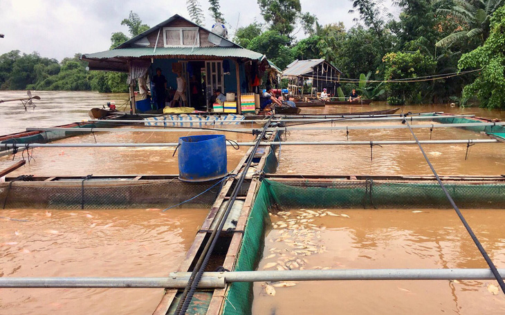 Di dời hàng trăm hộ dân khỏi khu vực ngập lụt ven sông Đồng Nai