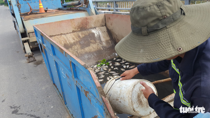 Cá chết trắng hàng tấn trên hồ Hòa Phú, Đà Nẵng - Ảnh 5.