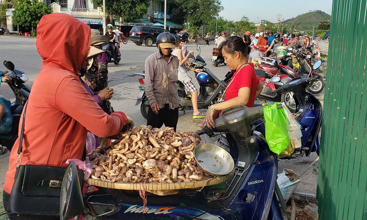 Mùa đi săn nấm, hái lộc trời - Ảnh 2.