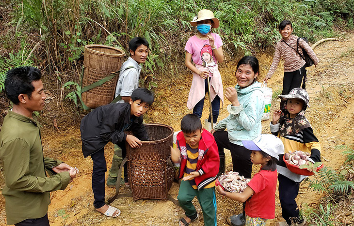 Mùa đi săn nấm, hái lộc trời - Ảnh 3.