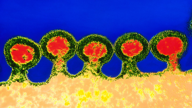 Các nhà khoa học Trung Quốc chỉnh sửa gen chữa HIV, ung thư máu - Ảnh 1.